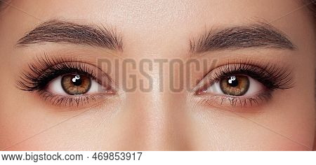 Female Eye With Extreme Long False Eyelashes. Eyelash Extensions. Makeup, Cosmetics, Beauty. Close U