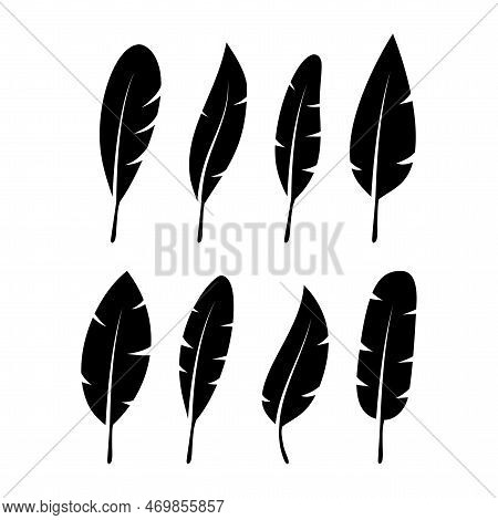 Bird Feather. Quill Feather Silhouette Icon. Vector Stock Illustration