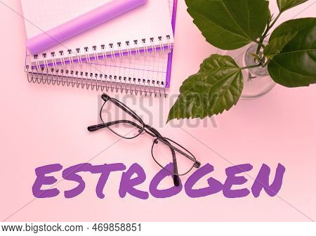 Sign Displaying Estrogen. Word Written On Group Of Hormones Promote The Development Of Female Charac