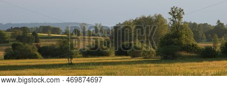 Landscape In Wetzikon, Zurich. Meadows And Trees.