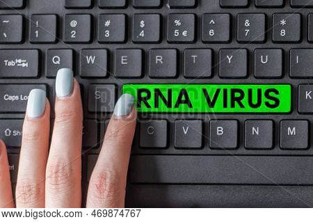 Hand Writing Sign Rna Virus. Word Written On A Virus Genetic Information Is Stored In The Form Of Rn