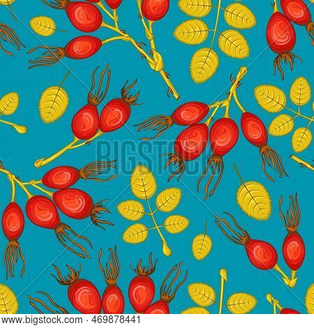 Seamless Pattern Of Rose Hip On The Blue Background. Can Be Used As A Wallpaper Or For A Textile Des