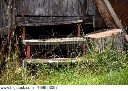 Overgrown Wooden Steps With Metal Supports