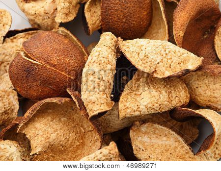 Cáscara seca de mandarina