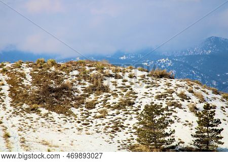 Chaparral And Sage Plants Besides Pine Trees On An Arid Snow Covered Hillside With The Rocky Mountai