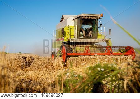 Harvesting Machine Working At Field In Sunny Morning. Agriculture Concept. Combine Harvester At Whea