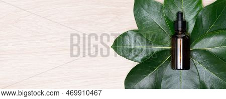 Top View Glass Bottle Dropper Oil Serum With Copy Space Flat Lay Green Leaves On Wood Background.con
