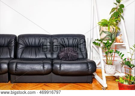 Black Leather Armchairs In The Interior Of The Rest Room Of An Office Space With Green Flowers Again