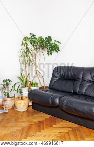 Fragment Of The Interior Of The Rest Room Of An Office Building With Vintage Black Leather Armchairs