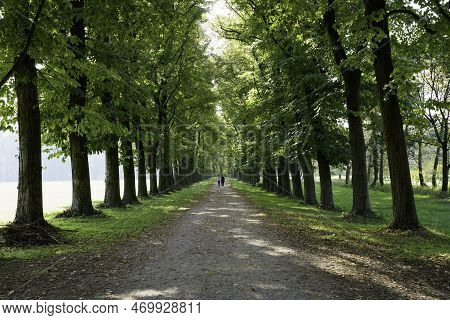Autumn In The Monza Park, Italy