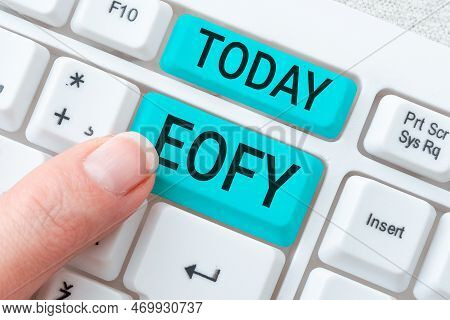 Text Sign Showing Eofy. Business Overview A Mega Sale Held On An End Of A Financial Year
