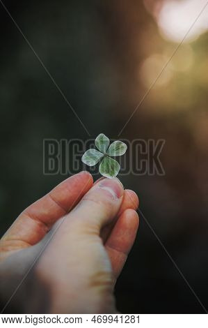 A Image Of Woman Holding A Four-leaf Clover