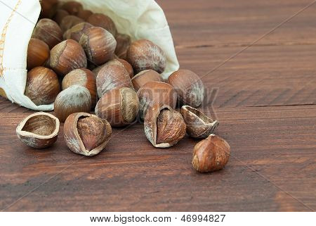 Haselnüsse In einem Sack