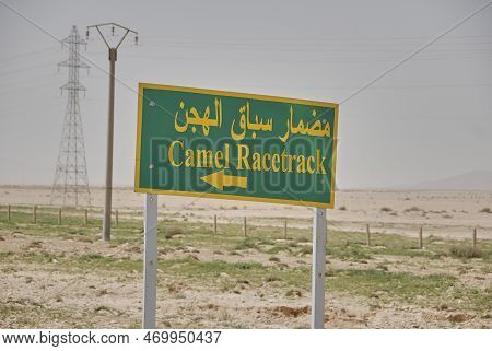 Green And Yellow Road Sign With Arabien Letters Saying Camel Race Track In The Syrian Desert