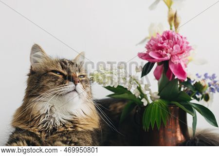 Cute Cat Sitting At Summer Flowers Bouquet On White Table. Home Decor And Pets. Portrait Of Adorable