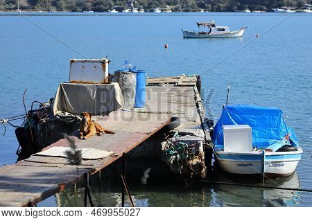 Milas, Mugla, Turkey : 24 January 2023 In The Kazıklı Village Of Milas District, The Boats Of The Lo