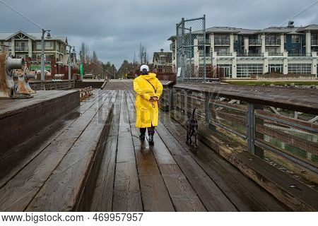Walking The Dog In Yellow Raincoat On Rainy Day. Female Person And Dog On A Leash Walk On A Walkway 