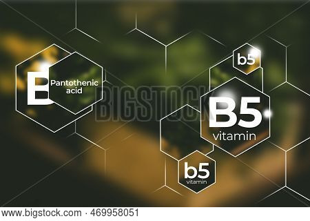 Molecular Model Of Vitamin B5. Hexagons With Vitamin B5 Name, Blurry Background.