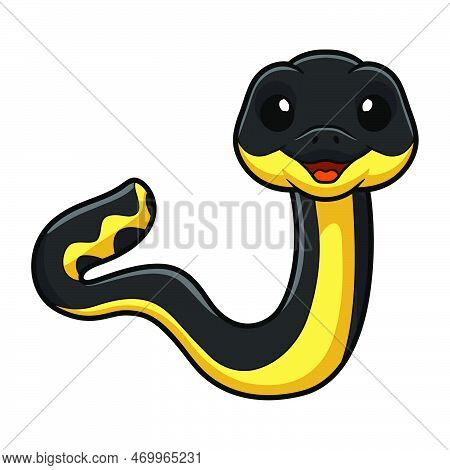 Vector Illustration Of Cute Yellow Bellied Sea Snake Cartoon