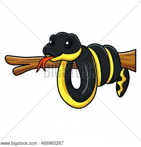 Vector Illustration Of Cute Yellow Bellied Sea Snake Cartoon On Tree Branch