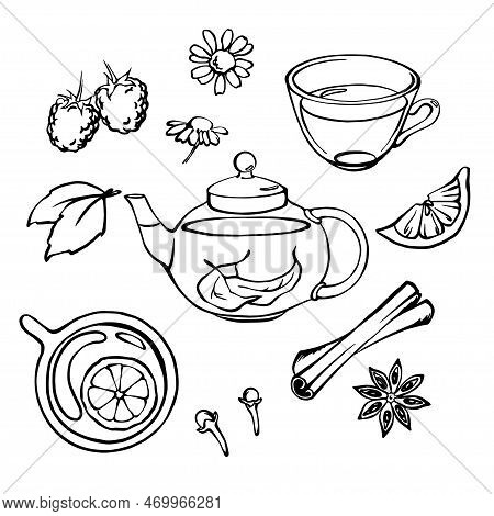 Hand Drawn Transparent Tea Pot With Tea Cups, Herbs, Fruits And . Tea Set Of Design Elements In Dood