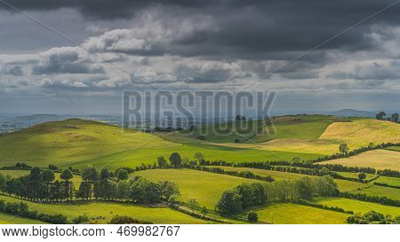 Panoramic, Aerial View On Cattle And Sheeps Grazing On Green Hills And Pastures. Ancient Loughcrew C