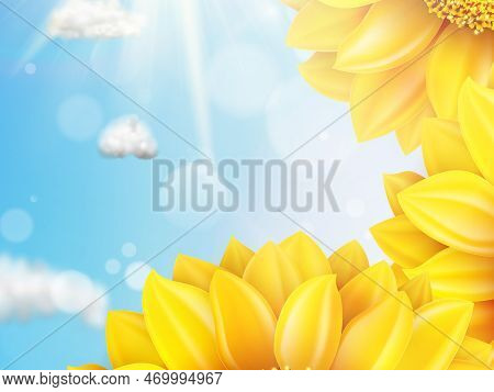 Sunflower With Blue Sky - Autumn. Eps 10 Vector File Included