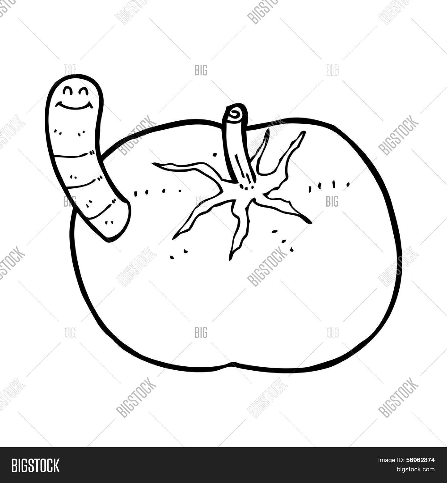 Cartoon Tomato Worm Vector & Photo (Free Trial) Bigstock