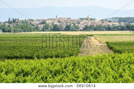 Landscape Near Carcassonne