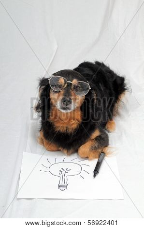 Drawing Dog