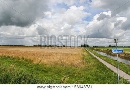 Bicycle Path Through Dutch Landscape