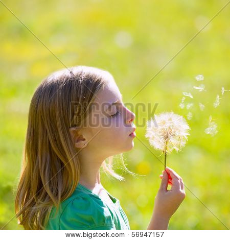 Blond kid girl blowing dandelion flower in green meadow outdoor profile view