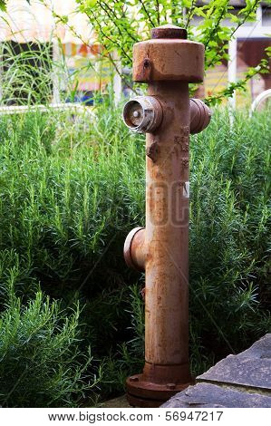Old fire hydrant