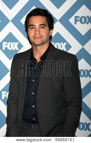 LOS ANGELES - JAN 13:  Ramon Rodriguez at the FOX TCA Winter 2014 Party at Langham Huntington Hotel on January 13, 2014 in Pasadena, CA