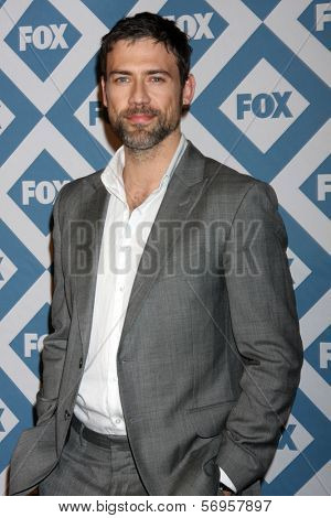 LOS ANGELES - JAN 13:  Adam Rayner at the FOX TCA Winter 2014 Party at Langham Huntington Hotel on January 13, 2014 in Pasadena, CA