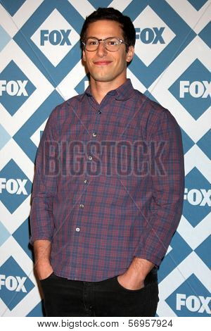 LOS ANGELES - JAN 13:  Andy Samberg at the FOX TCA Winter 2014 Party at Langham Huntington Hotel on January 13, 2014 in Pasadena, CA