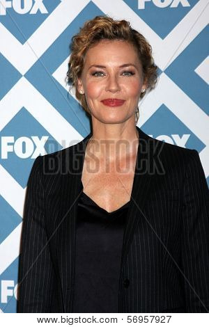 LOS ANGELES - JAN 13:  Connie Nielsen at the FOX TCA Winter 2014 Party at Langham Huntington Hotel on January 13, 2014 in Pasadena, CA