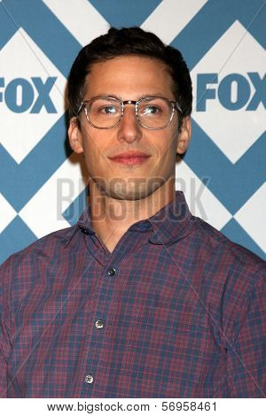 LOS ANGELES - JAN 13:  Andy Samberg at the FOX TCA Winter 2014 Party at Langham Huntington Hotel on January 13, 2014 in Pasadena, CA