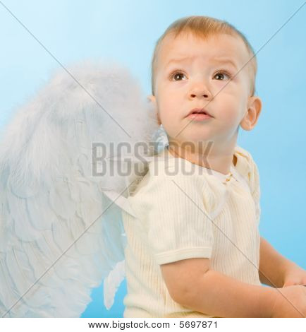 Malý anděl