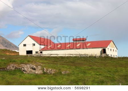 Farma na Islandu