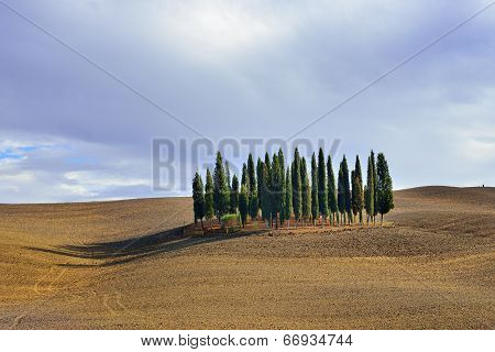 Tuscan Rural Landscape