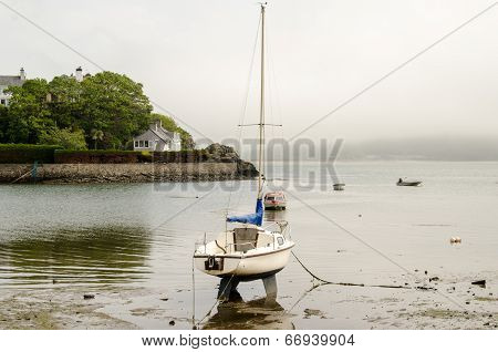 Waiting For The Tide