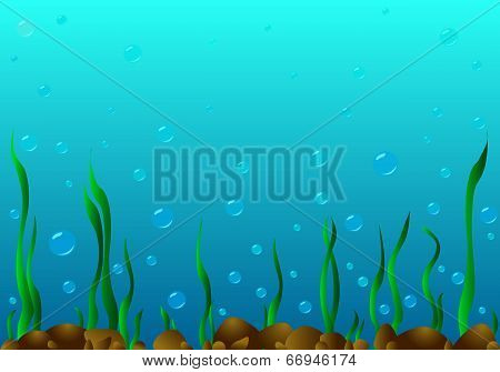The Seabed.