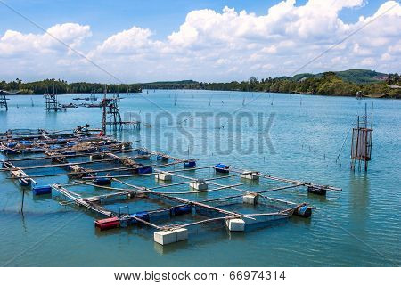 Cage Aquaculture Farming, Thailand