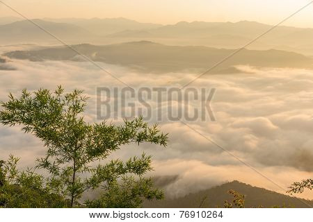 Fog On Mountain