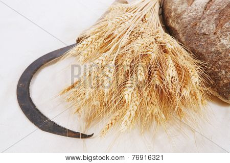 bunch of mown wheat ears with vintage handmade reaper hook sickle and rye dark french fresh bread loaf on white linen tablecloth