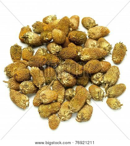 Splinthes Acemella or Yellow Akarkara Seeds