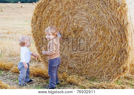Two Little Toddler Boys Playing On Straw Field