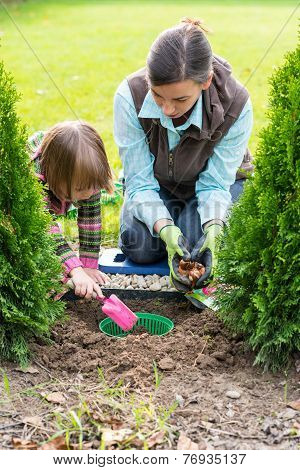 Mother And Daughter Planting Tulip Bulbs
