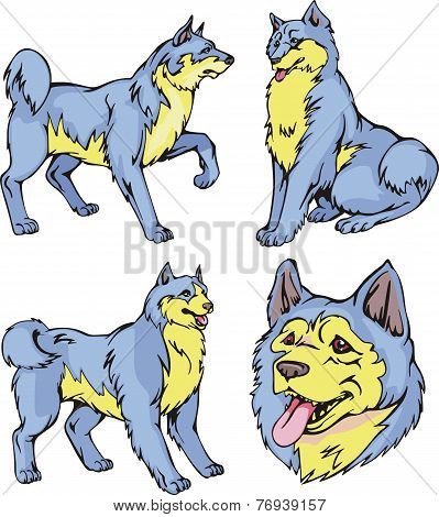 Laika Dogs
